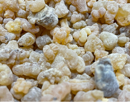 FRANKINCENSE ROCK TEARS OF GRANULAR OLIBANUM.