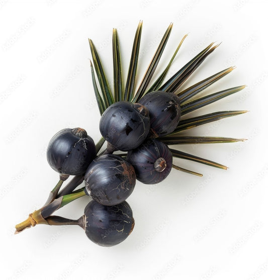 SAW PALMETTO POWDER | 100% Natural