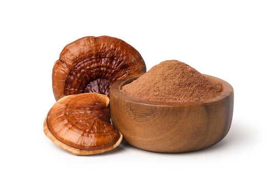 REISHI MUSHROOMS POWDER | 100% Natural