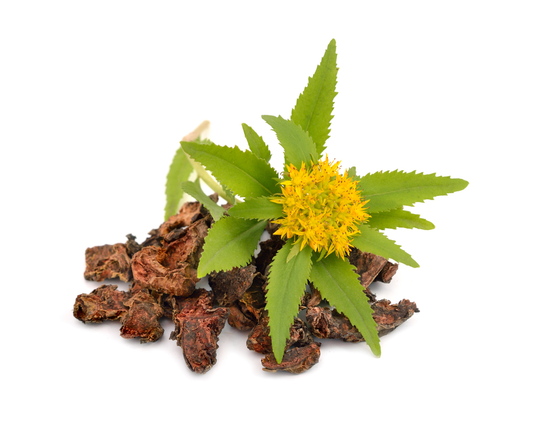 RHODIOLA ROSEA POWDER | 100% Natural