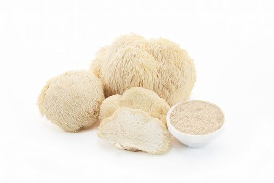 LION'S MANE MUSHROOMS POWDER | 100% Natural